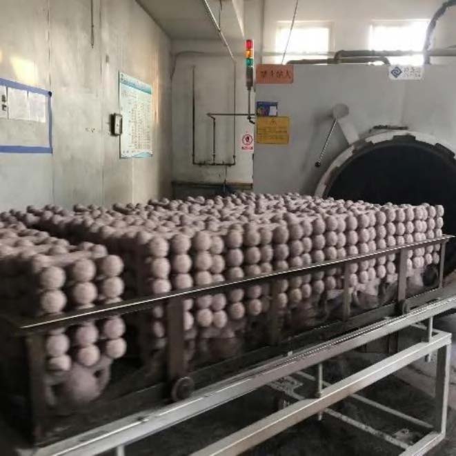 Process4 Process4